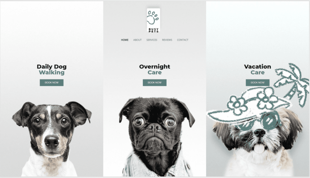 Pet care website concept Web design by breakloo UI/UX design experts