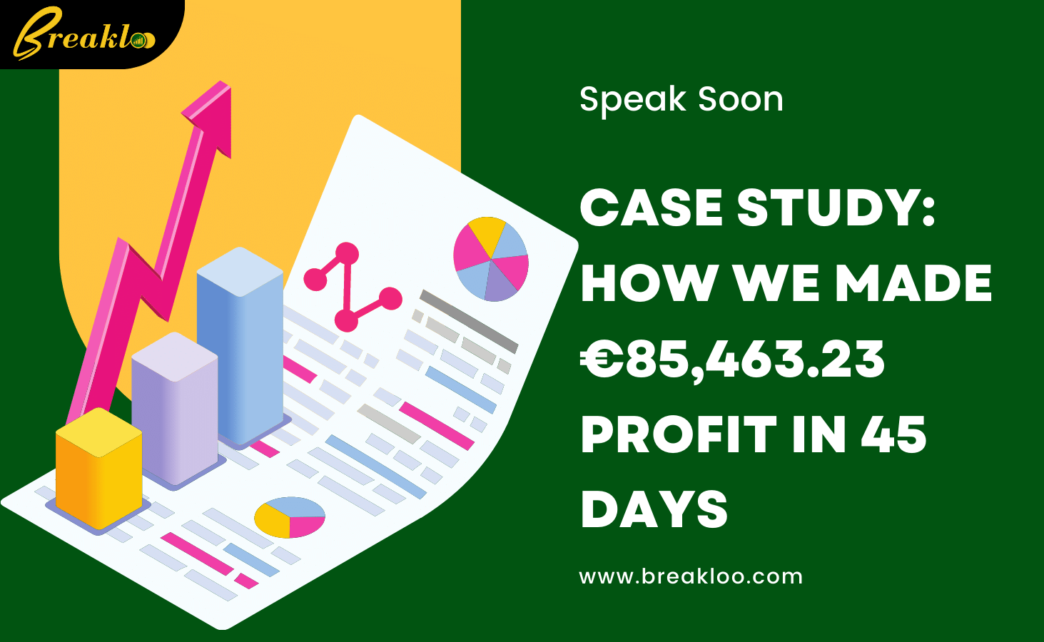 Case Study: How we made €85,463.23 Profit in 45 Days