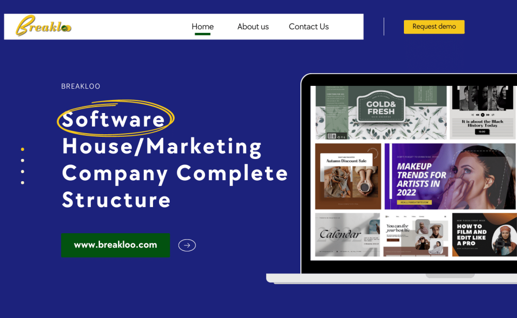 Software House/Marketing Company Complete Structure
