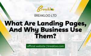 What Are Landing Pages, And Why Business Use Them