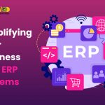 Simplifying Your Business with ERP Systems